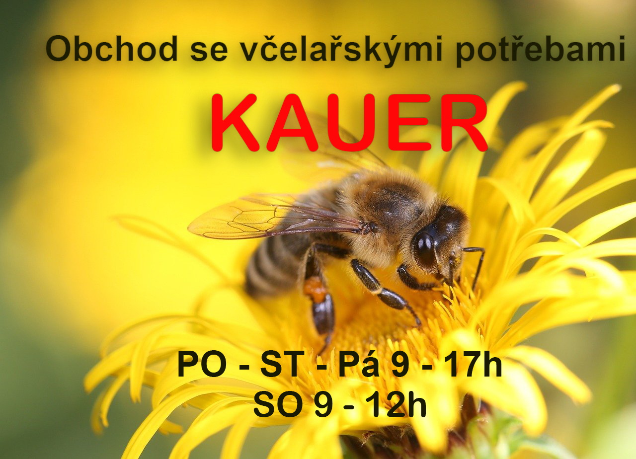 Kauer.jpg