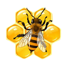 včela_3-removebg-preview.png